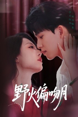 野火偏吻月高清海报