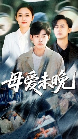母爱未晚高清海报
