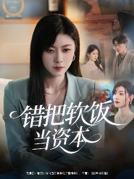 错把软饭当资本高清海报